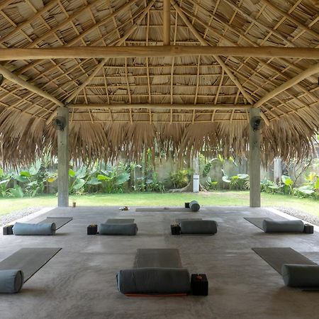 Appartamento Lotus Surf And Wellness Ahangama Esterno foto